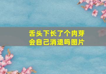 舌头下长了个肉芽会自己消退吗图片