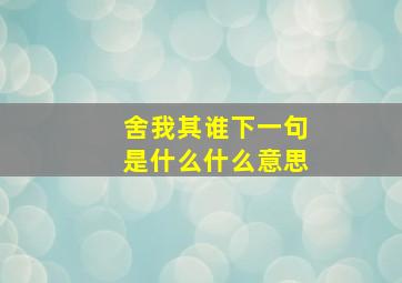 舍我其谁下一句是什么什么意思