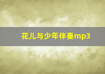 花儿与少年伴奏mp3