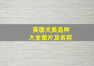 英国犬类品种大全图片及名称