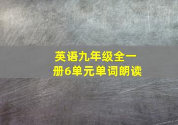 英语九年级全一册6单元单词朗读