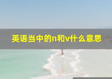 英语当中的n和v什么意思