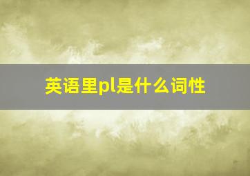 英语里pl是什么词性