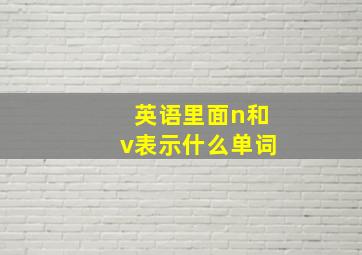 英语里面n和v表示什么单词