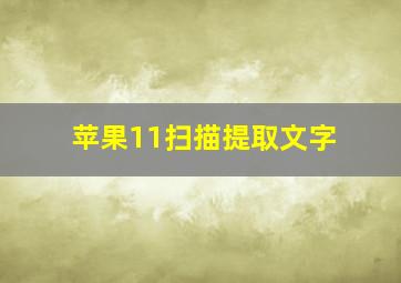 苹果11扫描提取文字