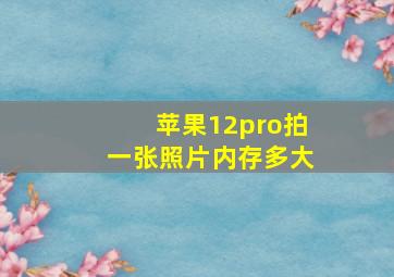 苹果12pro拍一张照片内存多大