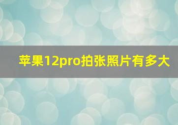 苹果12pro拍张照片有多大