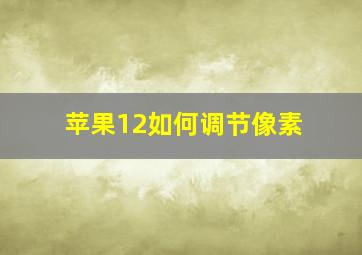 苹果12如何调节像素