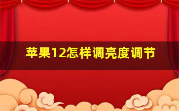 苹果12怎样调亮度调节