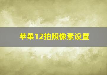 苹果12拍照像素设置