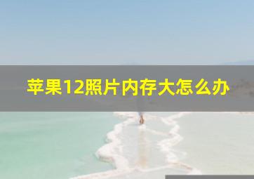 苹果12照片内存大怎么办