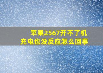 苹果2567开不了机充电也没反应怎么回事