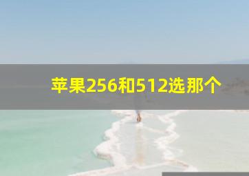 苹果256和512选那个