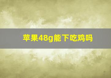 苹果48g能下吃鸡吗