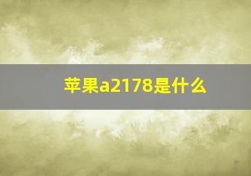 苹果a2178是什么