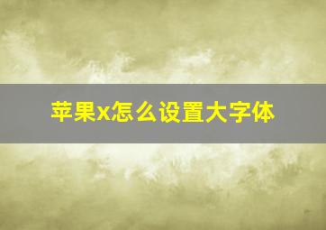 苹果x怎么设置大字体