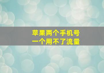 苹果两个手机号一个用不了流量