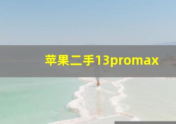 苹果二手13promax