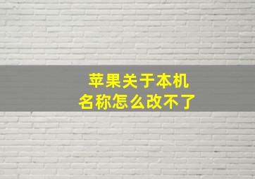 苹果关于本机名称怎么改不了