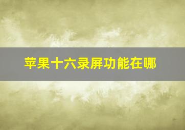 苹果十六录屏功能在哪