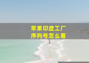 苹果印度工厂序列号怎么看