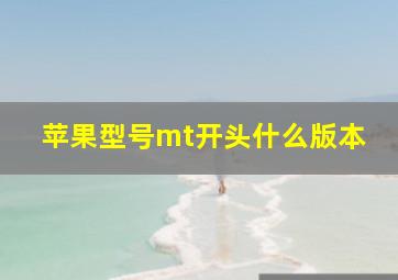 苹果型号mt开头什么版本