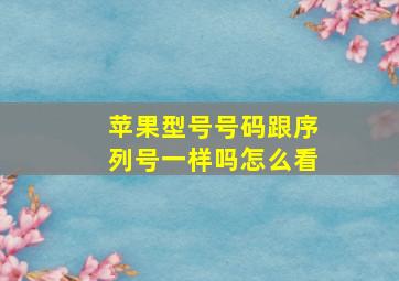 苹果型号号码跟序列号一样吗怎么看