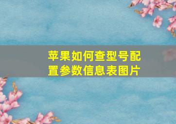 苹果如何查型号配置参数信息表图片