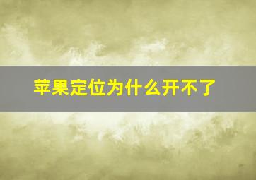 苹果定位为什么开不了