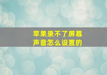 苹果录不了屏幕声音怎么设置的