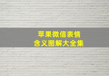 苹果微信表情含义图解大全集