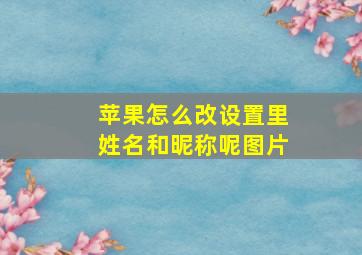 苹果怎么改设置里姓名和昵称呢图片