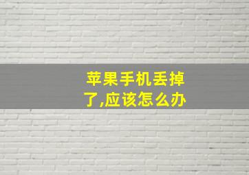 苹果手机丢掉了,应该怎么办