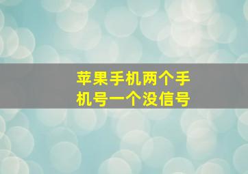 苹果手机两个手机号一个没信号