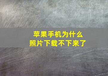 苹果手机为什么照片下载不下来了