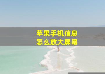 苹果手机信息怎么放大屏幕