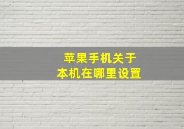 苹果手机关于本机在哪里设置