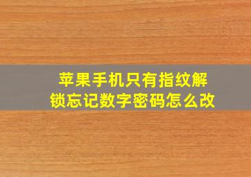 苹果手机只有指纹解锁忘记数字密码怎么改