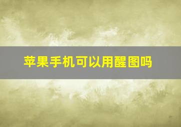 苹果手机可以用醒图吗