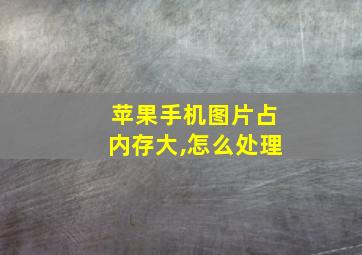 苹果手机图片占内存大,怎么处理