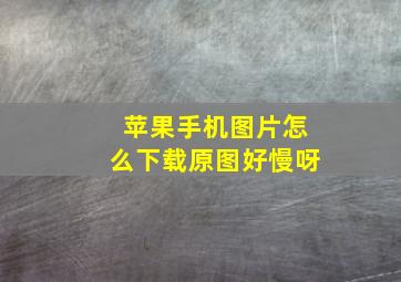 苹果手机图片怎么下载原图好慢呀