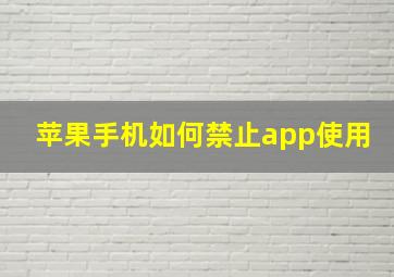 苹果手机如何禁止app使用