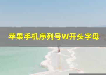 苹果手机序列号W开头字母