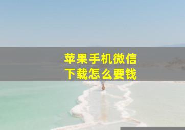 苹果手机微信下载怎么要钱