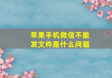 苹果手机微信不能发文件是什么问题