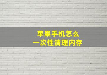 苹果手机怎么一次性清理内存