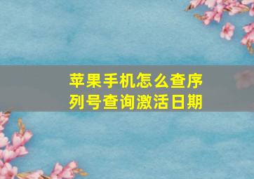 苹果手机怎么查序列号查询激活日期