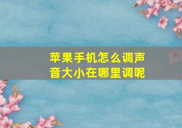 苹果手机怎么调声音大小在哪里调呢