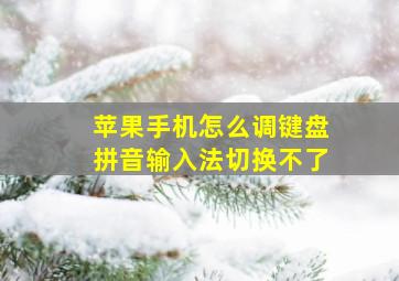 苹果手机怎么调键盘拼音输入法切换不了