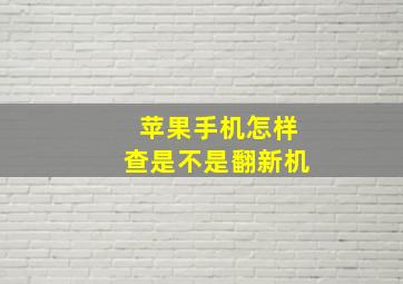 苹果手机怎样查是不是翻新机